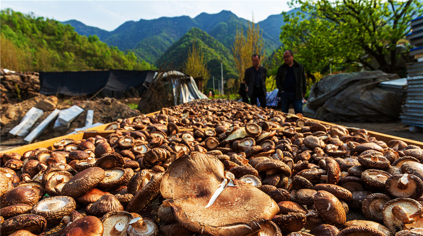 《結(jié)對(duì)幫扶，碩果累累》高波