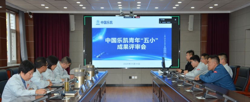 激揚青春智造力！中國樂凱團委召開青年&ldquo;五小&rdquo;成果評審會